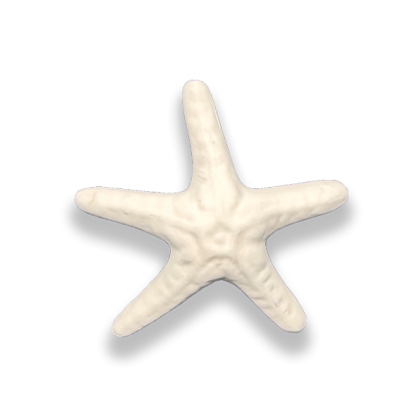 Seramik Biblo Deniz Yıldızı&hellip;